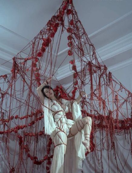 向魔王罗布献此身动漫完整版_1080P在线观看高清