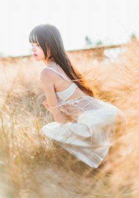 电影码头_DVD神马影院手机在线