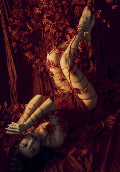 色戒高能_BD视频大全