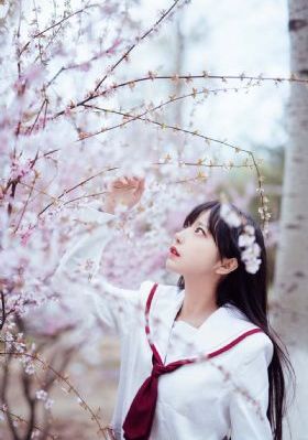 美丽的他电影版_BD国语手机在线看